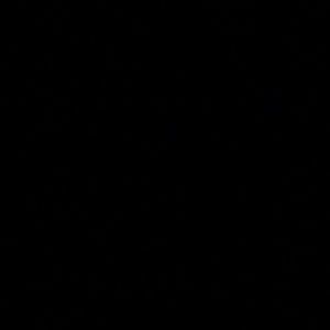 Meet your Posher, Gum